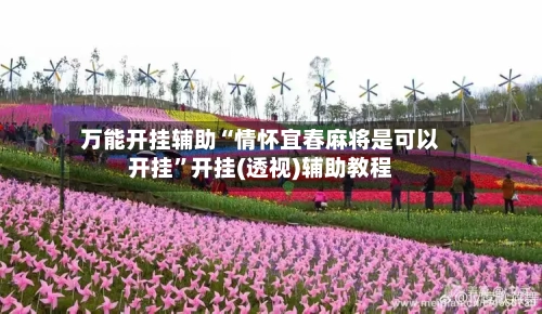 万能开挂辅助“情怀宜春麻将是可以开挂”开挂(透视)辅助教程-第2张图片