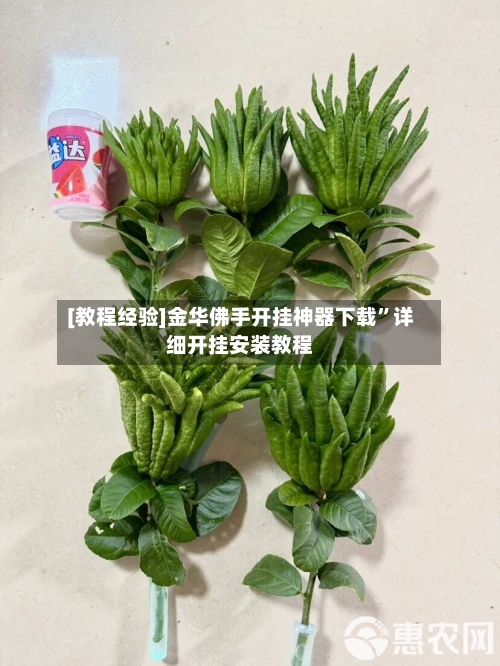 [教程经验]金华佛手开挂神器下载”详细开挂安装教程-第3张图片