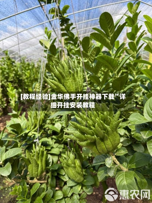 [教程经验]金华佛手开挂神器下载”详细开挂安装教程-第2张图片