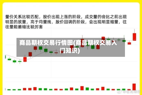 商品期权交易行情图(商品期权交易入门知识)