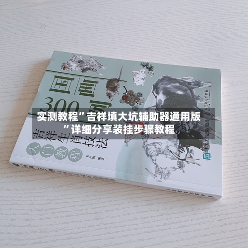 实测教程”吉祥填大坑辅助器通用版	”详细分享装挂步骤教程-第2张图片