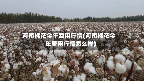 河南棉花今年费用行情(河南棉花今年费用行情怎么样)