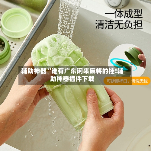 辅助神器“谁有广东闲来麻将的挂!辅助神器插件下载-第3张图片