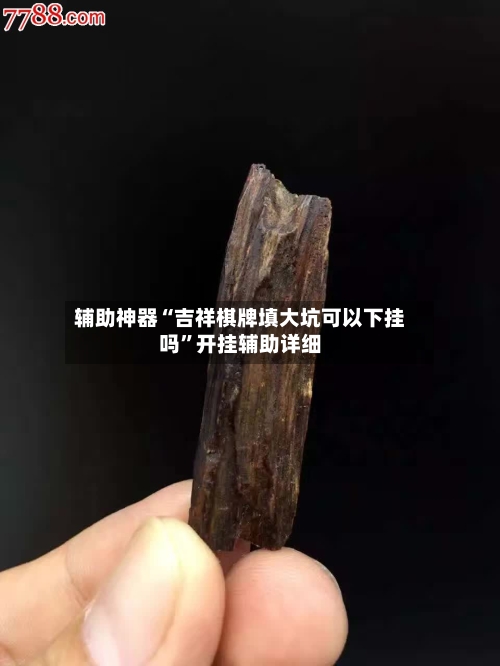 辅助神器“吉祥棋牌填大坑可以下挂吗	”开挂辅助详细-第2张图片