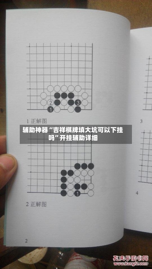 辅助神器“吉祥棋牌填大坑可以下挂吗”开挂辅助详细-第3张图片