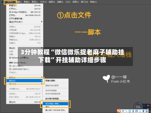 3分钟教程“微信微乐捉老麻子辅助挂下载”开挂辅助详细步骤-第2张图片