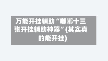 万能开挂辅助“嘟嘟十三张开挂辅助神器”(其实真的能开挂)