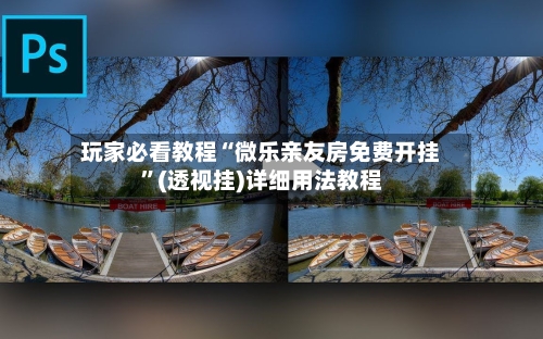玩家必看教程“微乐亲友房免费开挂”(透视挂)详细用法教程-第2张图片