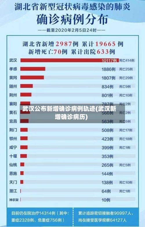 武汉公布新增确诊病例轨迹(武汉新增确诊病历)