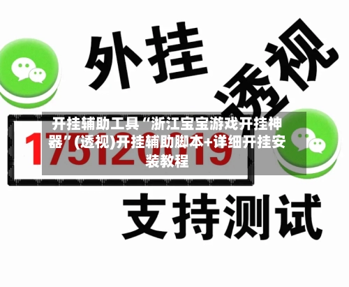 开挂辅助工具“浙江宝宝游戏开挂神器”(透视)开挂辅助脚本+详细开挂安装教程