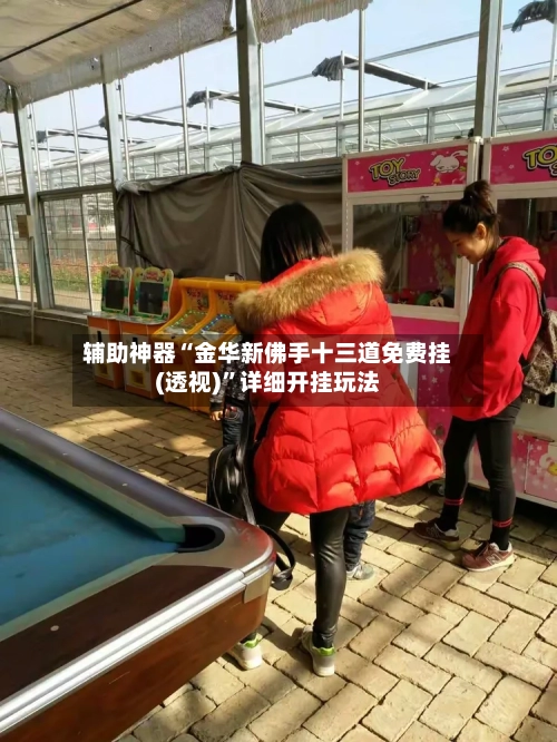 辅助神器“金华新佛手十三道免费挂(透视)”详细开挂玩法-第3张图片