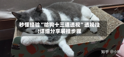 秒懂经验“哈狗十三道透视”透视挂!详细分享装挂步骤-第2张图片