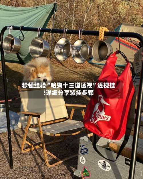 秒懂经验“哈狗十三道透视”透视挂!详细分享装挂步骤-第3张图片