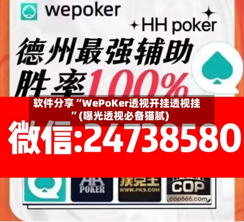 软件分享“WePoKer透视开挂透视挂”(曝光透视必备猫腻)