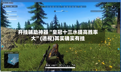 开挂辅助神器“皇冠十三水提高胜率大”(透视)其实确实有挂-第3张图片