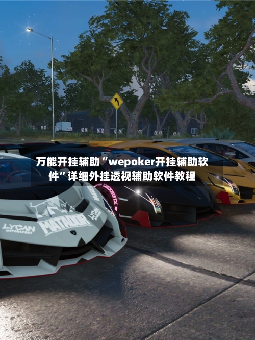 万能开挂辅助“wepoker开挂辅助软件	”详细外挂透视辅助软件教程-第2张图片
