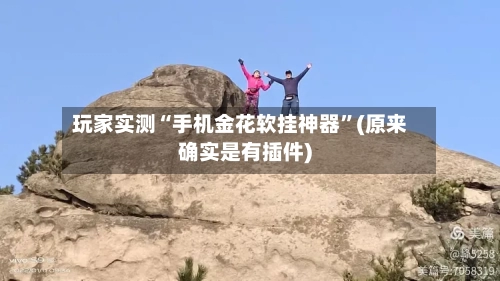 玩家实测“手机金花软挂神器”(原来确实是有插件)