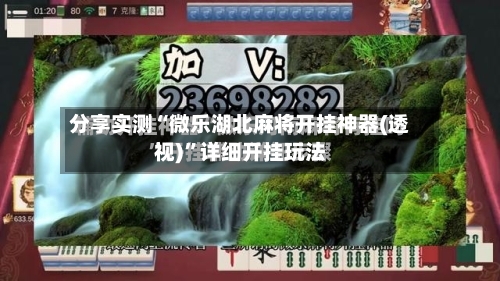 分享实测“微乐湖北麻将开挂神器(透视)”详细开挂玩法-第2张图片