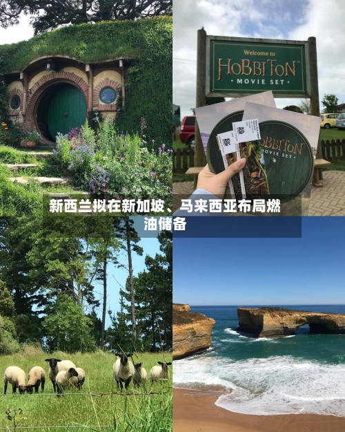 新西兰拟在新加坡、马来西亚布局燃油储备-第3张图片