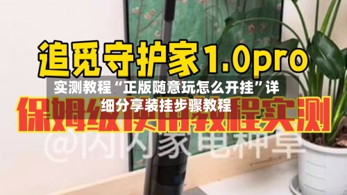 实测教程“正版随意玩怎么开挂”详细分享装挂步骤教程