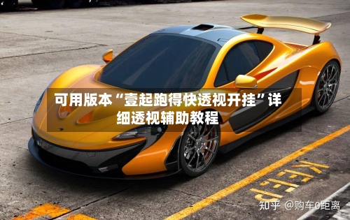 可用版本“壹起跑得快透视开挂”详细透视辅助教程-第3张图片