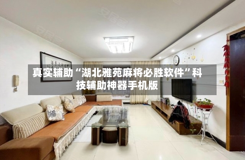 真实辅助“湖北雅苑麻将必胜软件”科技辅助神器手机版-第2张图片