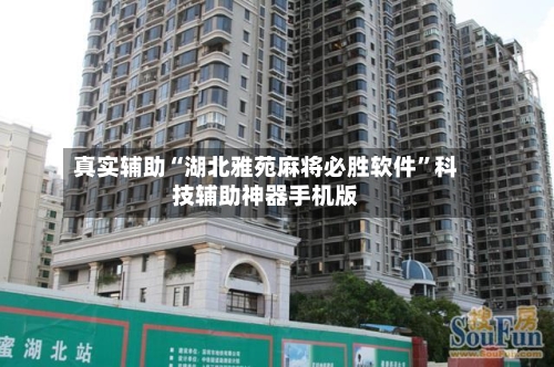 真实辅助“湖北雅苑麻将必胜软件”科技辅助神器手机版