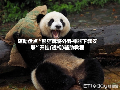 辅助盘点“熊猫麻将外卦神器下载安装”开挂(透视)辅助教程-第2张图片