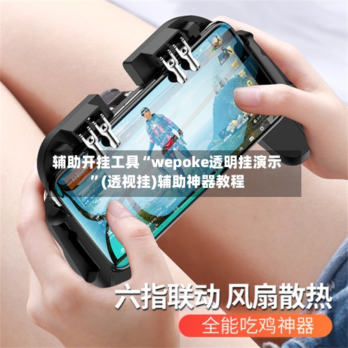 辅助开挂工具“wepoke透明挂演示	”(透视挂)辅助神器教程-第2张图片