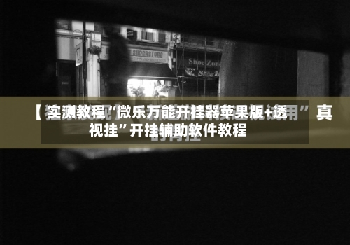 实测教程“微乐万能开挂器苹果版+透视挂”开挂辅助软件教程-第2张图片