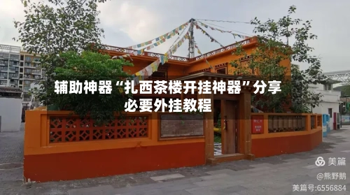 辅助神器“扎西茶楼开挂神器”分享必要外挂教程