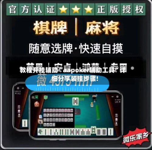 教程开挂辅助“aapoker辅助工具”详细分享装挂步骤!-第3张图片