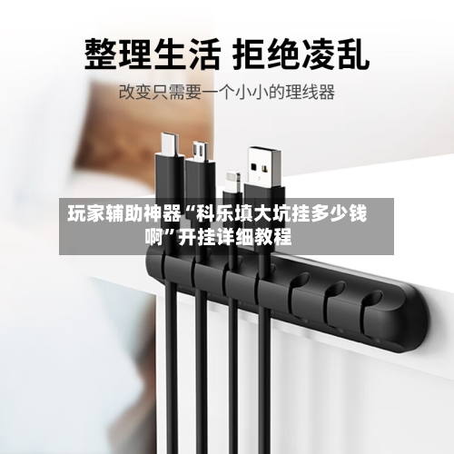 玩家辅助神器“科乐填大坑挂多少钱啊”开挂详细教程-第2张图片