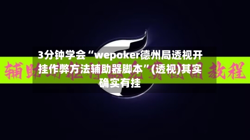 3分钟学会“wepoker德州局透视开挂作弊方法辅助器脚本	”(透视)其实确实有挂-第2张图片