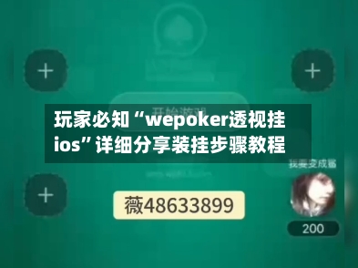 玩家必知“wepoker透视挂ios”详细分享装挂步骤教程-第2张图片