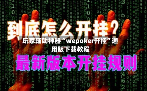 玩家辅助神器“wepoker开挂”通用版下载教程-第2张图片