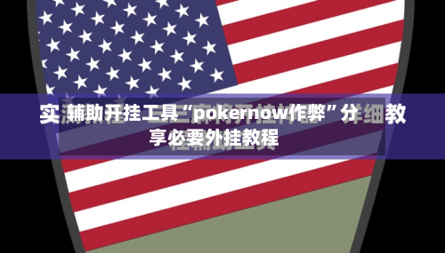 辅助开挂工具“pokernow作弊”分享必要外挂教程-第2张图片