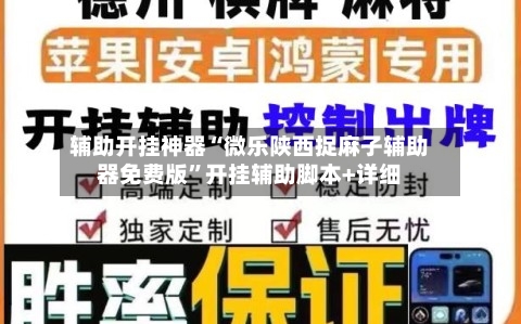 辅助开挂神器“微乐陕西捉麻子辅助器免费版”开挂辅助脚本+详细-第2张图片