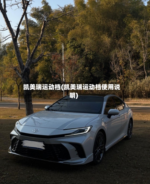 凯美瑞运动档(凯美瑞运动档使用说明)