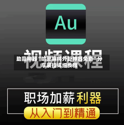 助赢神器“哈灵麻将外卦神器免费”分享装挂详细步骤