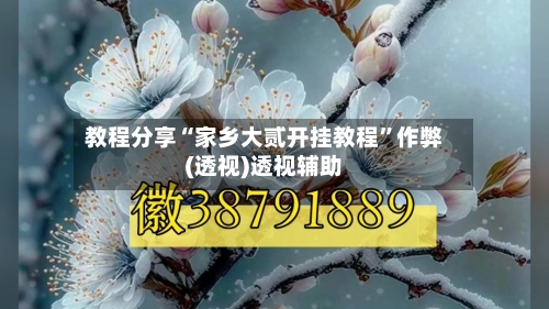 教程分享“家乡大贰开挂教程”作弊(透视)透视辅助