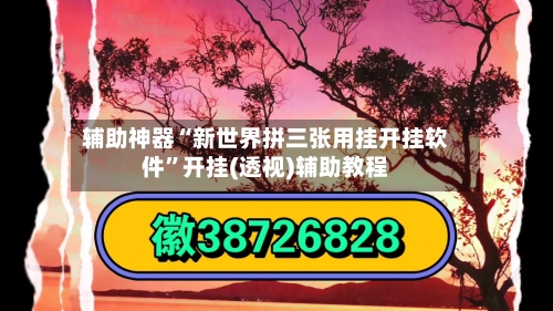 辅助神器“新世界拼三张用挂开挂软件”开挂(透视)辅助教程