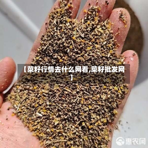 【菜籽行情去什么网看,菜籽批发网】