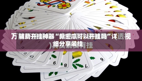 辅助开挂神器“新密瓜可以开挂吗”详细分享装挂