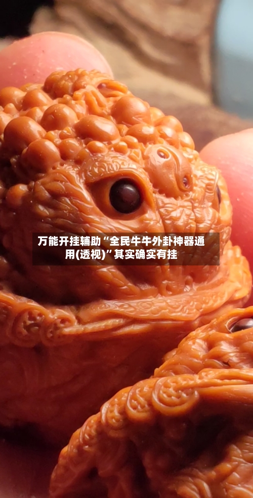 万能开挂辅助“全民牛牛外卦神器通用(透视)”其实确实有挂