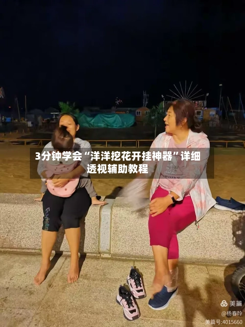 3分钟学会“洋洋挖花开挂神器”详细透视辅助教程-第1张图片