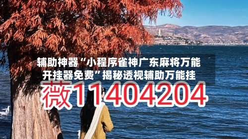 辅助神器“小程序雀神广东麻将万能开挂器免费”揭秘透视辅助万能挂