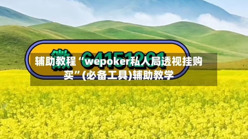 辅助教程“wepoker私人局透视挂购买”(必备工具)辅助教学