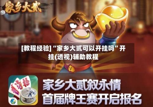 [教程经验]“家乡大贰可以开挂吗”开挂(透视)辅助教程
