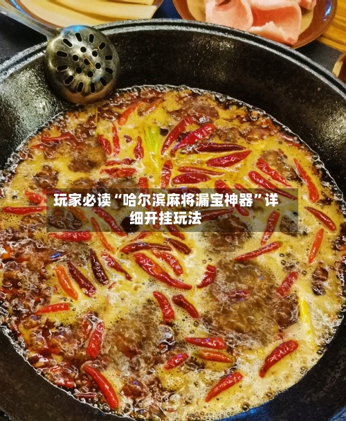 玩家必读“哈尔滨麻将漏宝神器”详细开挂玩法